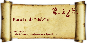 Musch Ádám névjegykártya